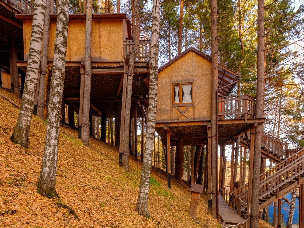 Домик на деревьях 