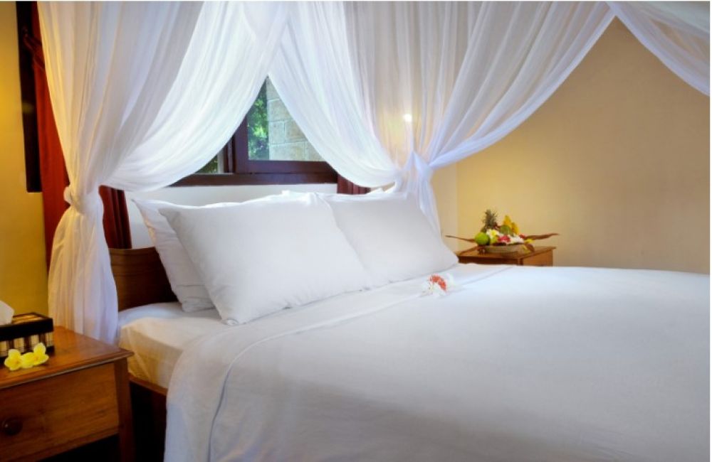 Deluxe Room, Coral View Villas 3*