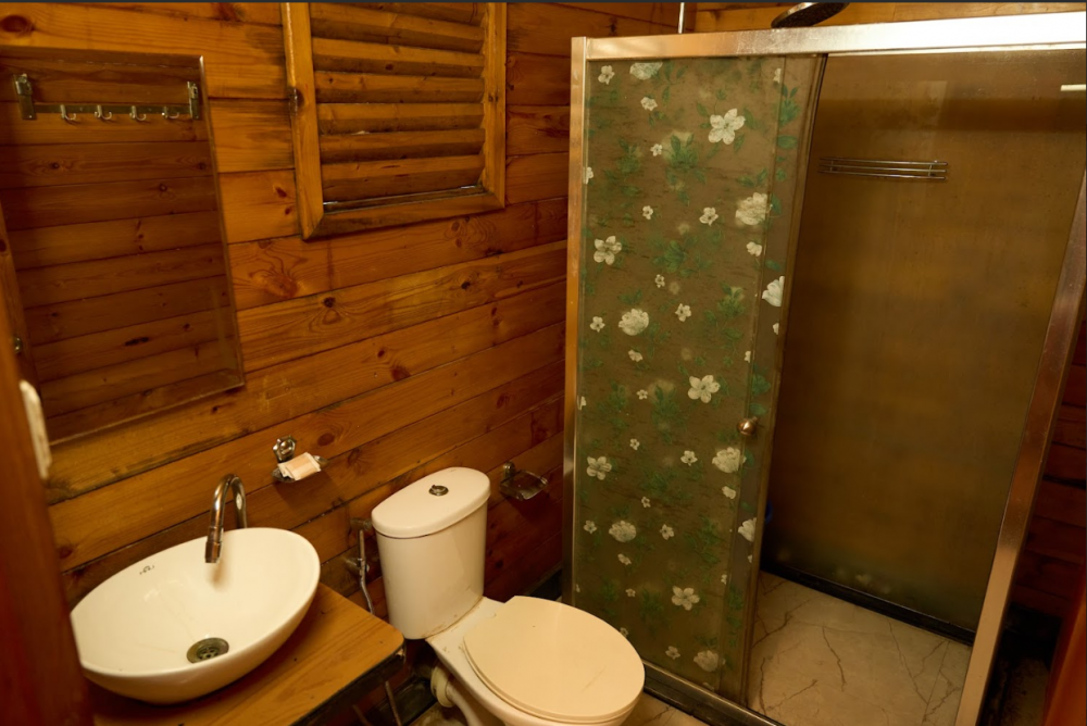 Swiss Cottage Deluxe Pool View AC, Casa Obrigado Arambol 3*