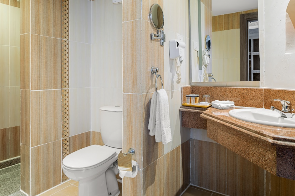 Standard GV/PV/SSV/SV, Albatros Palace Resort 5*