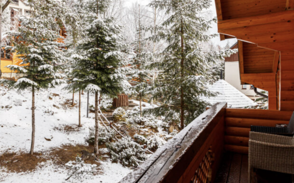 Апартамент №2 (коттеджи), Vedmezha Gora Family Resort & SPA 4*