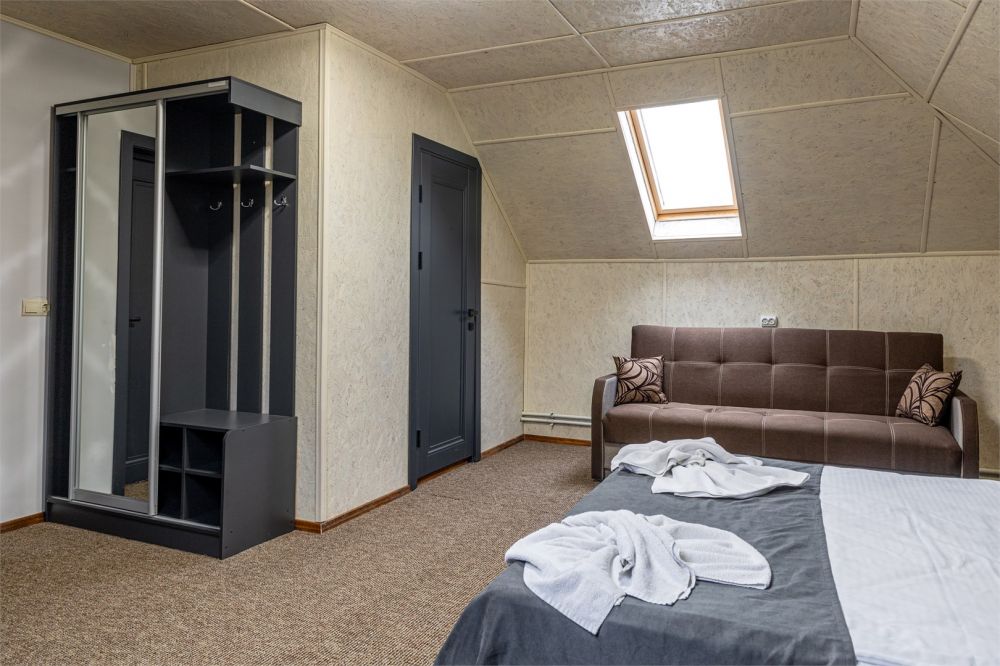 Однокомнатный Люкс Deluxe мансарда 4х местный, Villa Vlad 3*