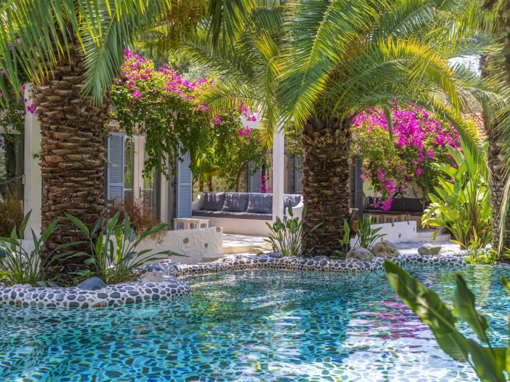Bungalow, Flamingo Hotel 4*