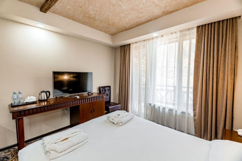 Standard, Borjomi Palace 4*