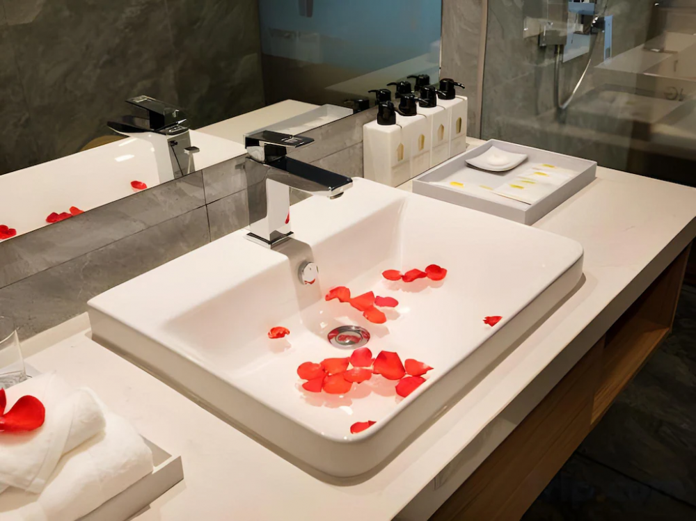 Senior Deluxe, Virgo Hotel 5*