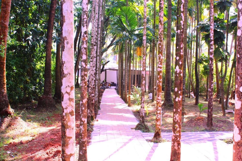 Arambol Paradise Village Resort 2*