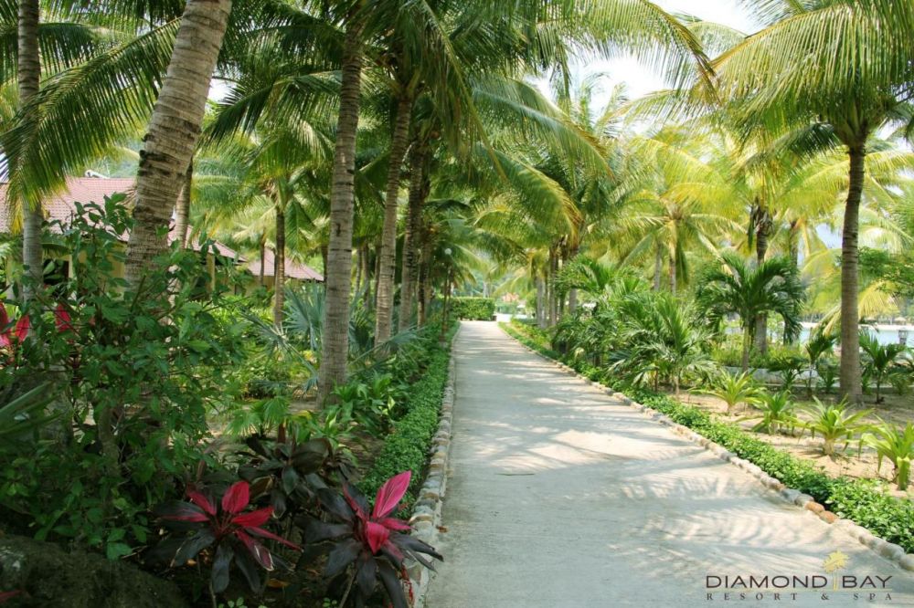 Diamond Bay Resort & Spa 5*