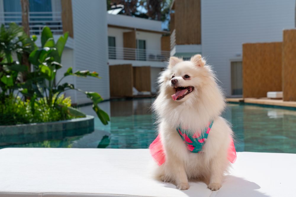 FashionTV Luxe Resort 5*