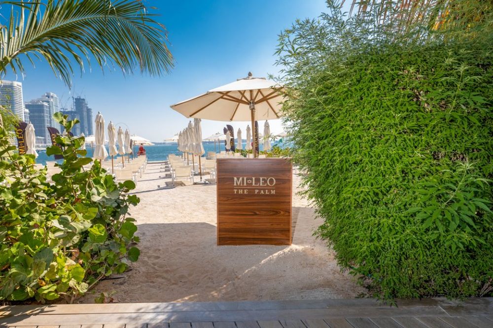 Mileo The Palm 5*