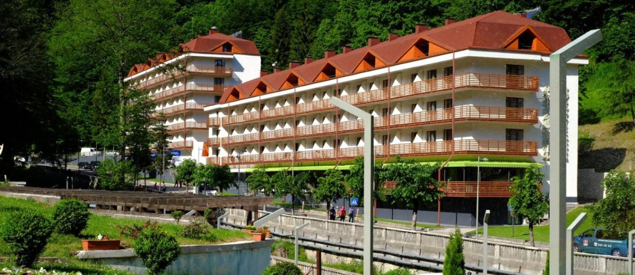Sairme Hotels Resort & Spa 4*