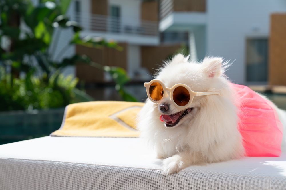 FashionTV Luxe Resort 5*