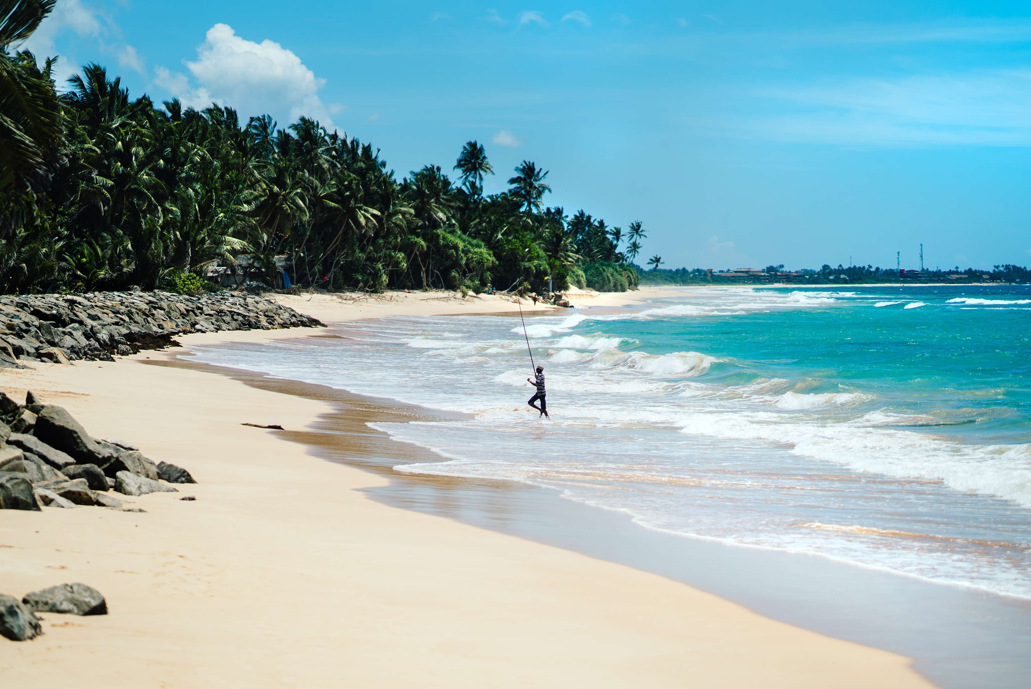 Унаватуна пляж с черепахами. Унаватуна Шри Ланка. Пляж Далавелла Шри-Ланка. Пляж Унаватуна Шри Ланка. Шри Ланка Унаватуна черепахи.