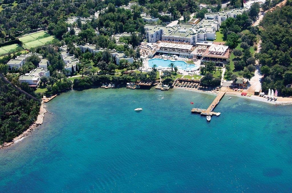 Жапон әйелдері Интернетте жыныстық қатынасқа түседі