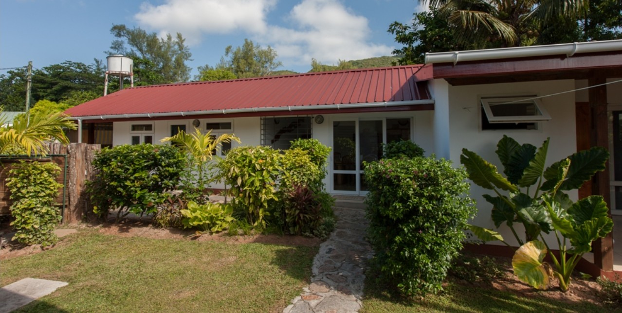 Колготки астындағы қынап