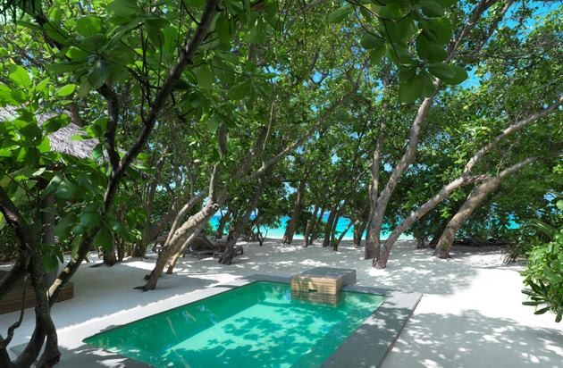 Beach Pool Villa, Vakkaru Maldives 5*