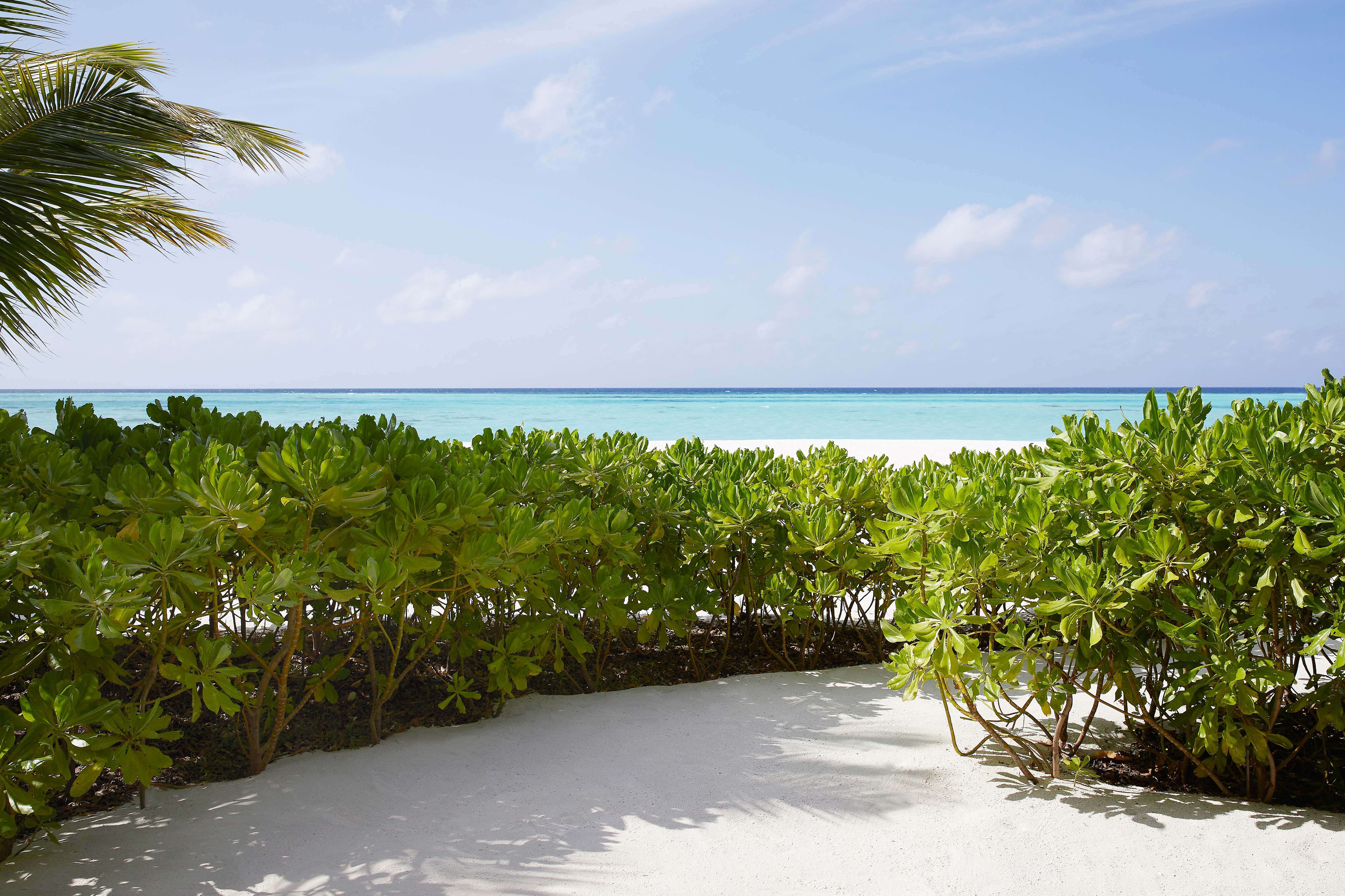Beach Garden Pool Villa, Le Meridien Maldives Resort & SPA 5*