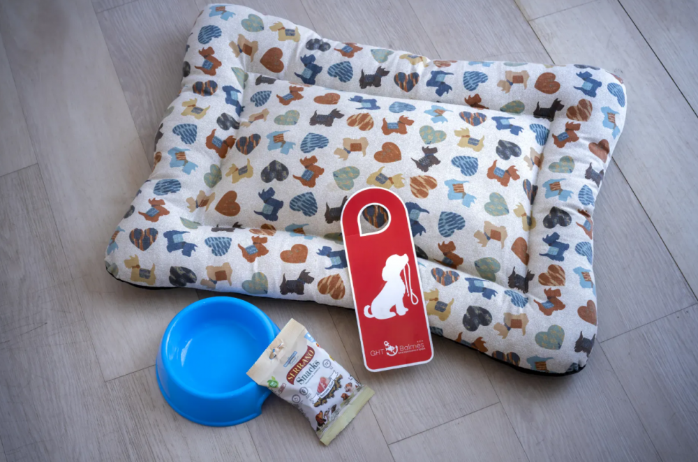 Standard Double Room, GHT Balmes Apartments & Splash (Calella) 3*