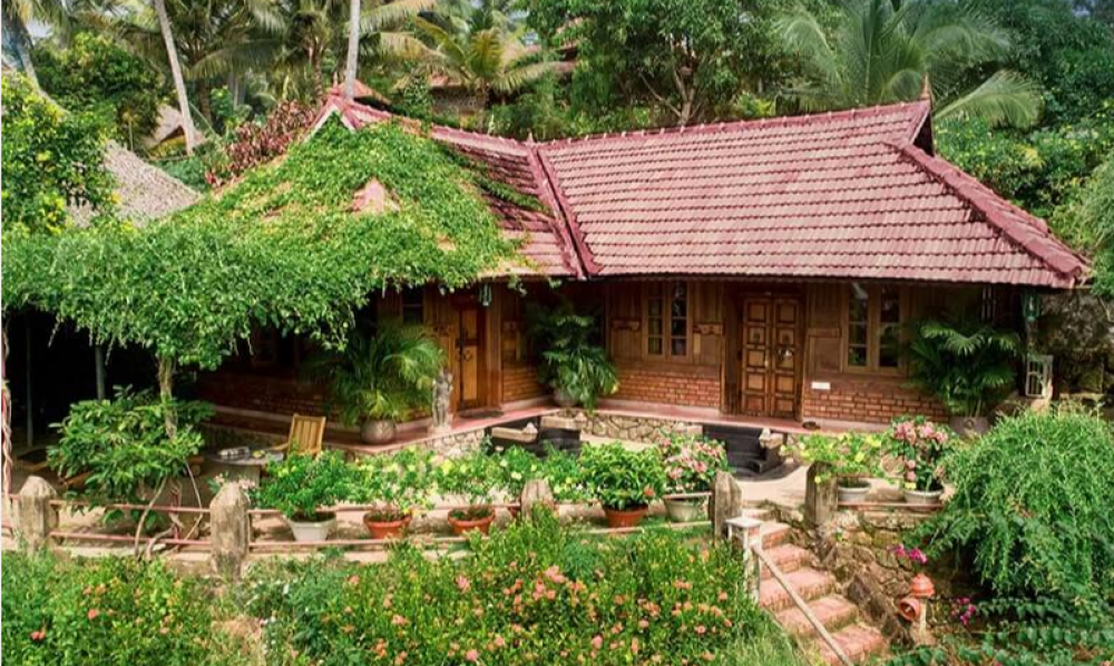 Kerala Deluxe A/C, Somatheeram Health Resort 4*