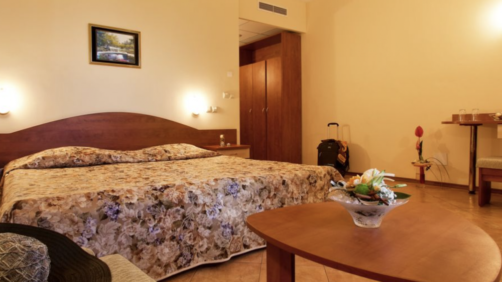 Standard Room, Ljuljak Hotel 3*