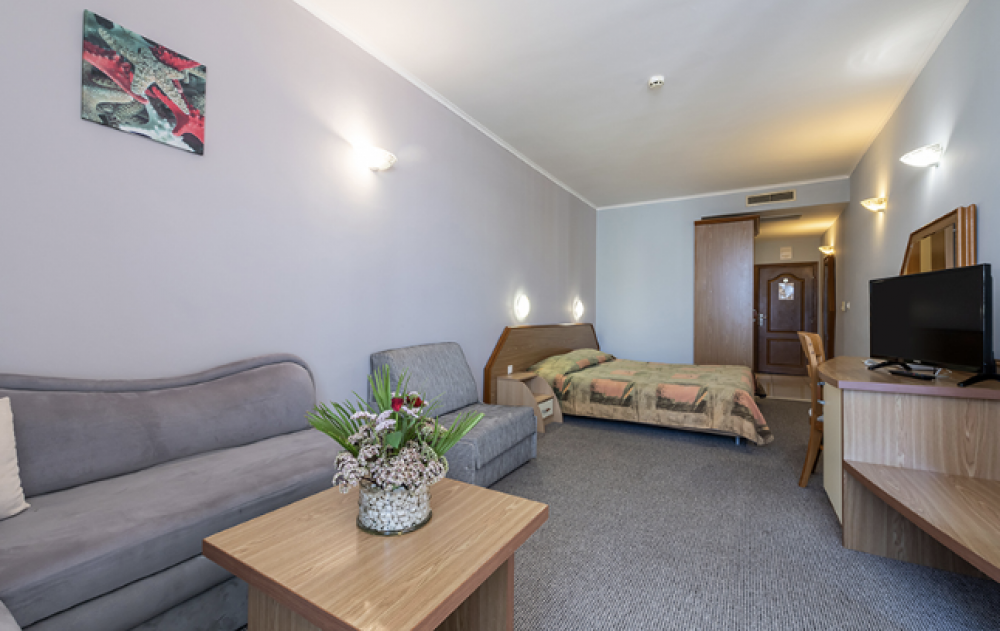 Double Economy/Comfort/Room, Hrisantema Hotel 4*