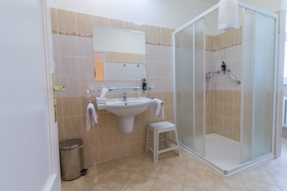 Double Comfort, Vltava (ENSANA SPA Hotels) 4*