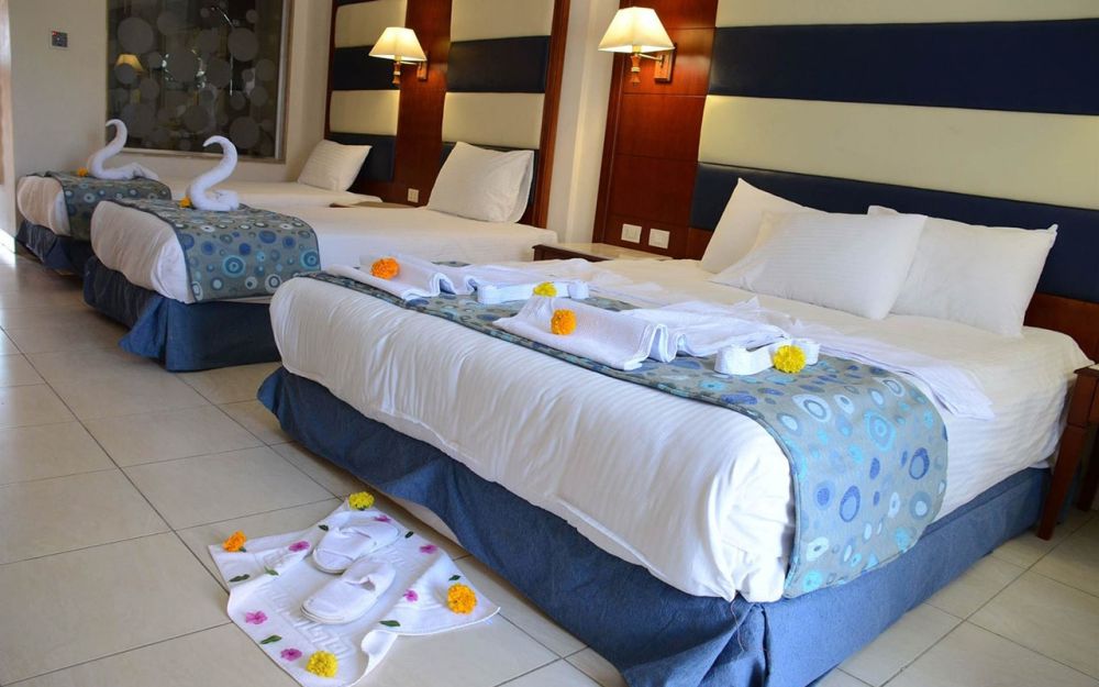 Family Room, Rehana Sharm Resort Aqua Park & Spa 4*