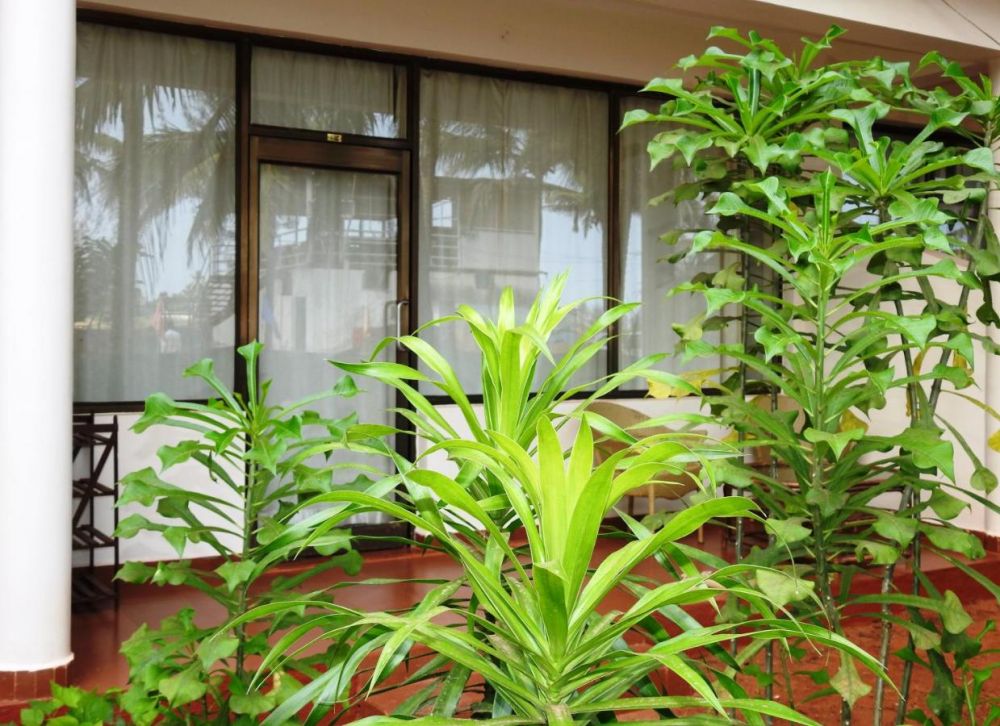 Super Deluxe Room, Morjim Hermitage 2*