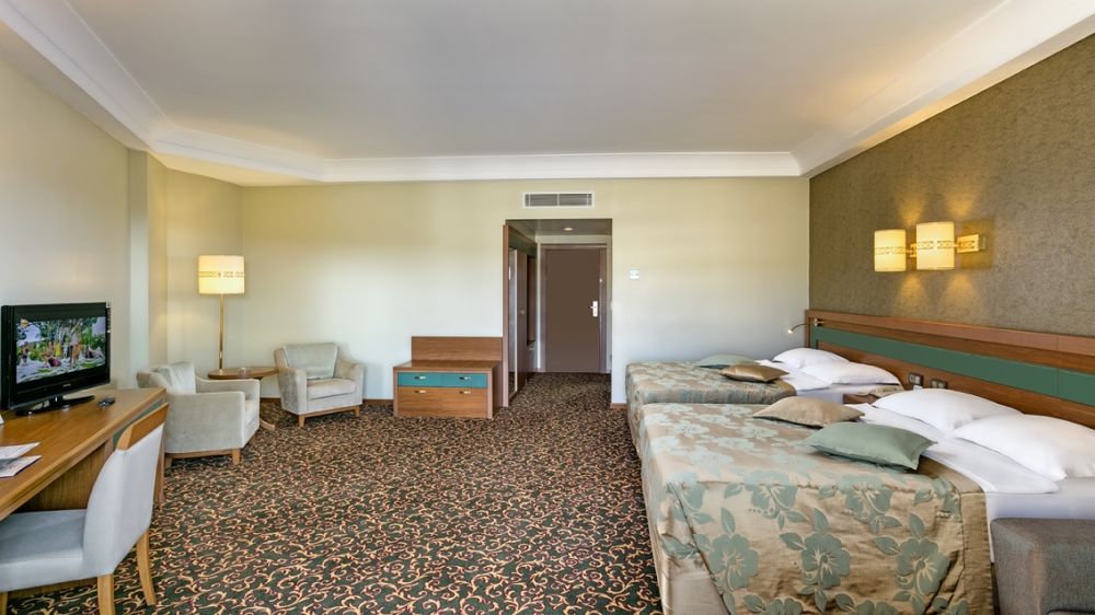 Standard Room, Ozkaymak Select Resort 5*