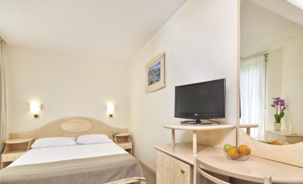 ECONOMY ROOM WITH FRENCH BED PARK SIDE - SINGLE USE, Hotel Istra Plava Laguna 3*