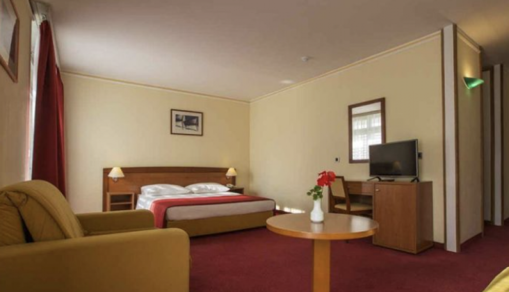 One Bedroom Suite, Hotel Niko 3*