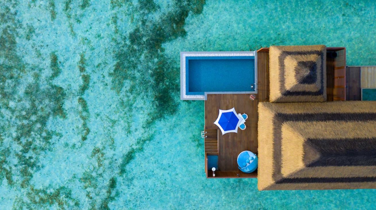 Ocean Pool Villa, Pullman Maldives Maamutaa 5*