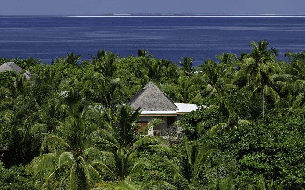 Wellness Tree House, Amilla Maldives Resort and Residences (ex. Amilla Fushi) 5*