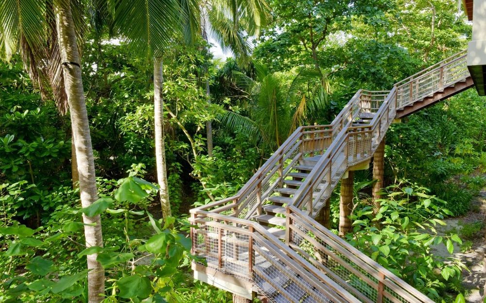 Wellness Tree House, Amilla Maldives Resort and Residences (ex. Amilla Fushi) 5*