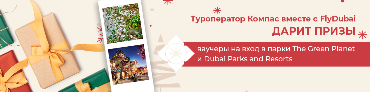 Поиск тура